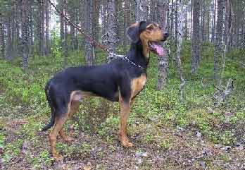 E��������� ����������� ����� ��� ��������� �������� �� ��� �� ��������� ��� �� ����� ! 