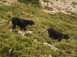  N��� ������ �� ����� ���� �����