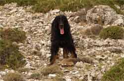  N��� ��� � �����