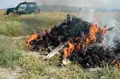 ������� ������� ������� ���� ����� !