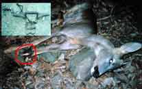 ���� ������� ��������� ��� �������������  ����������� ��� ����������� ����������� ��������� ����  ������ ��� �����������