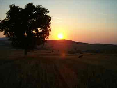 ��� ��� ��� ���ޅ. !