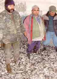 ������ ����������� �� ����� !