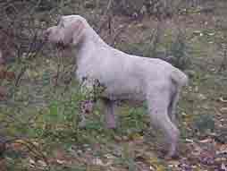 ����� ��� �������  !