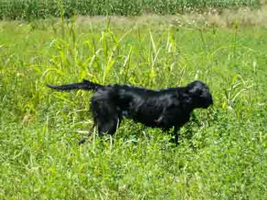 � �������� ����� ��� ������