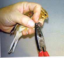 ���������� ������  !   