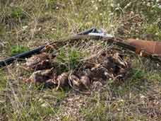 ������������ ��� ��������������� ��� �������