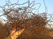 ����� ��������� ��� ����� !