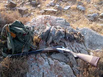 � ���������� ������ ��������   