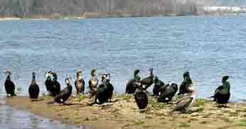  � ������������ ������ ������� ��� ���������� 