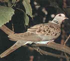 ������� !