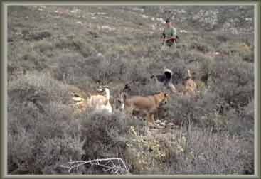 ��� ������ ��� ����� 