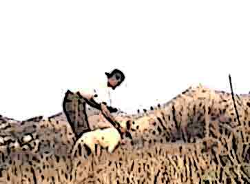 ���������� ��� ���� ������!