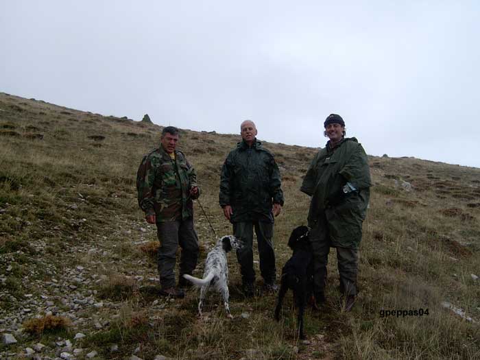 Field-Trial-in-A-graeca[1]
