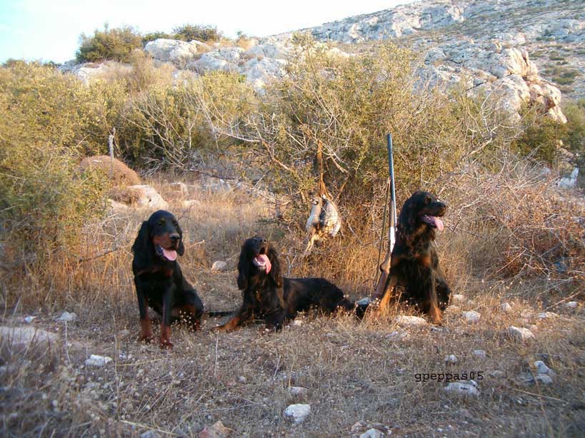 Olympos-Niva-Midia-Greece-C%7E0[1]