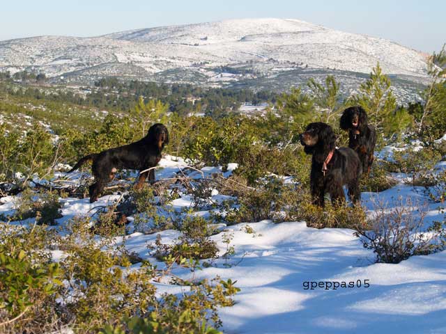 Olympos-Niva-Midia-Greece-W%7E0[1]