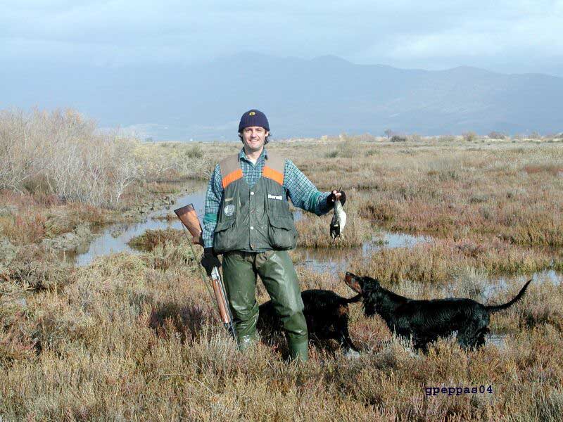 hunting-ducks