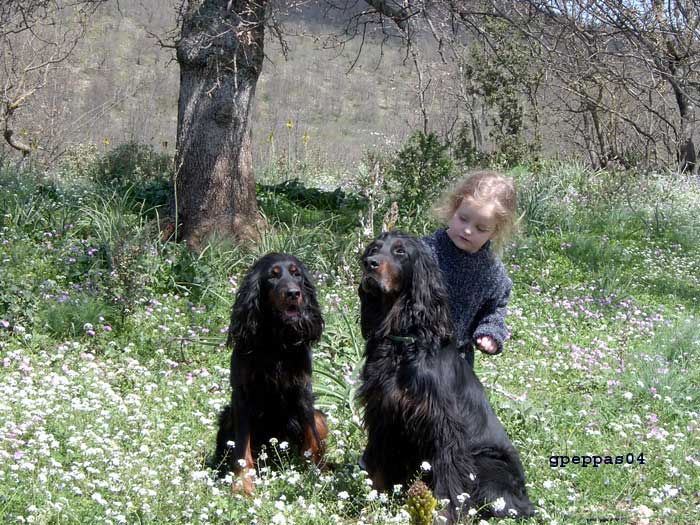 marizoi-Niva-Midia