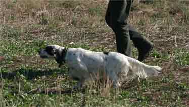 ��������������� ����������� ������� 2005.
Rapakoulias  Genesis Plouton	E.S.	�������          �����������