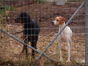 � ����� ��� �� ������ ��� ��� �����