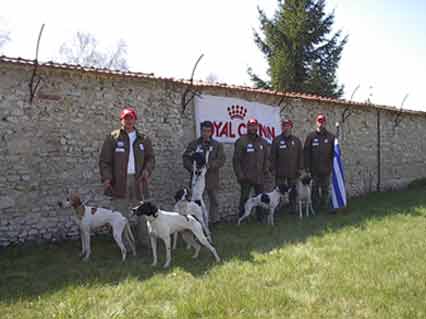 ������ ������� 2003