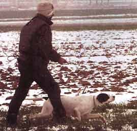 � ������ ��� Faunello !