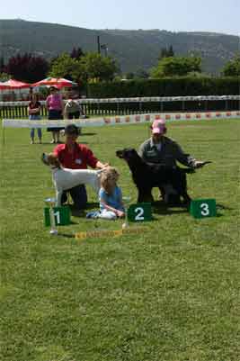 1-2 ������� ����