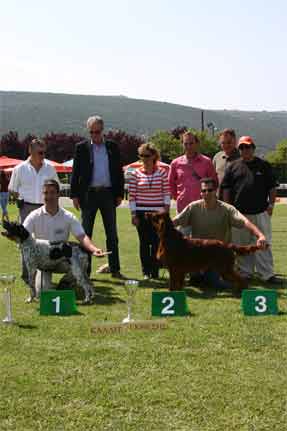 1-2 �������