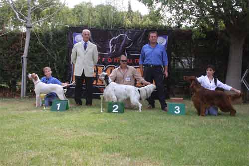 �������� ������� 2008