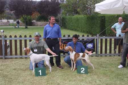 ��������� ���� �����