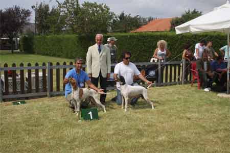 ��������� �����������