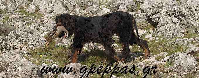 (photo 