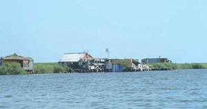 O� ������� 